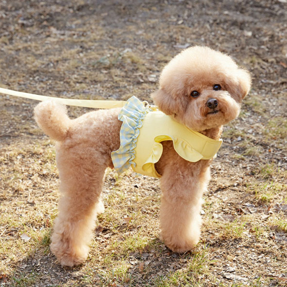Hond Kleurcontrast Trekkabel H - Lace Teddy Lingerie recensie en prijs