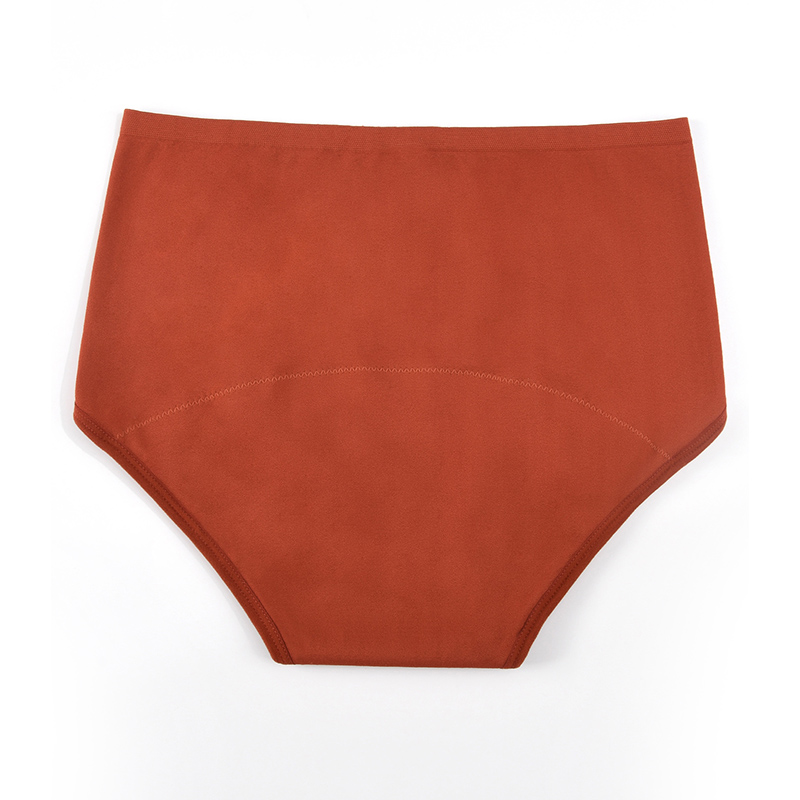 Naadloze menstruatieonderbroek - Period Panty Absorbent recensie en prijs