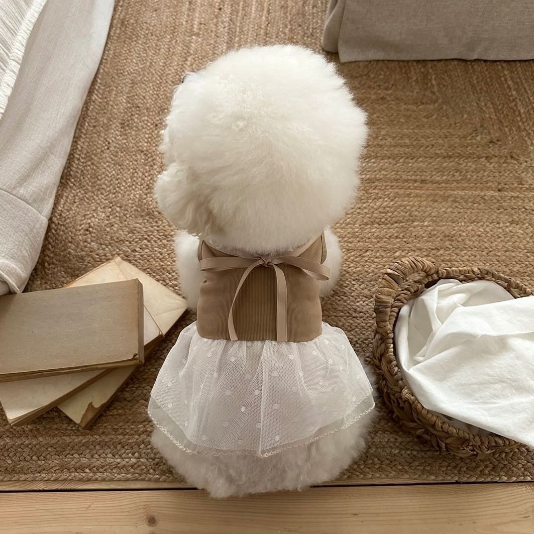 Lente- en zomerjurkje van kant - Lace Teddy Lingerie recensie en prijs