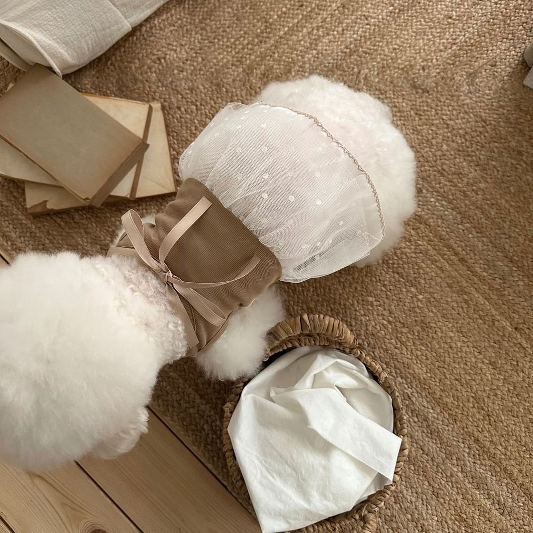 Lente- en zomerjurkje van kant - Lace Teddy Lingerie recensie en prijs