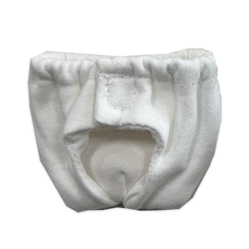 Absorberende eekhoornluiers Le - Period Panty Absorbent recensie en prijs