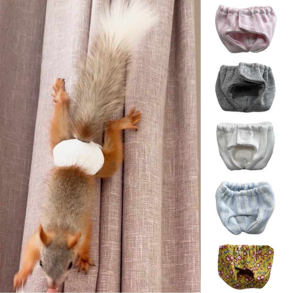 Absorberende eekhoornluiers Le - Period Panty Absorbent recensie en prijs