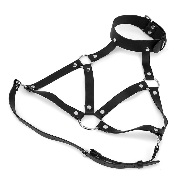 Vrouwen Mode Harnas Riem Borst - Garter Belt Set recensie en prijs