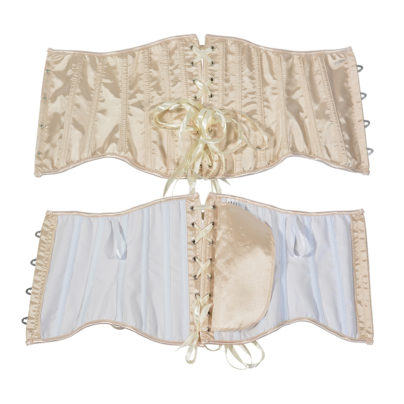 2025 Vrouwen Satijnen Underbus - Corset Waist Cinch recensie en prijs